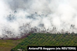Kebakaran hutan yang terlihat di dekat perkebunan kelapa sawit di Kabupaten Tanah Putih di Rokan Hilir, Provinsi Riau, 21 Februari 2017. (Foto: Antara/FB Anggoro via REUTERS)